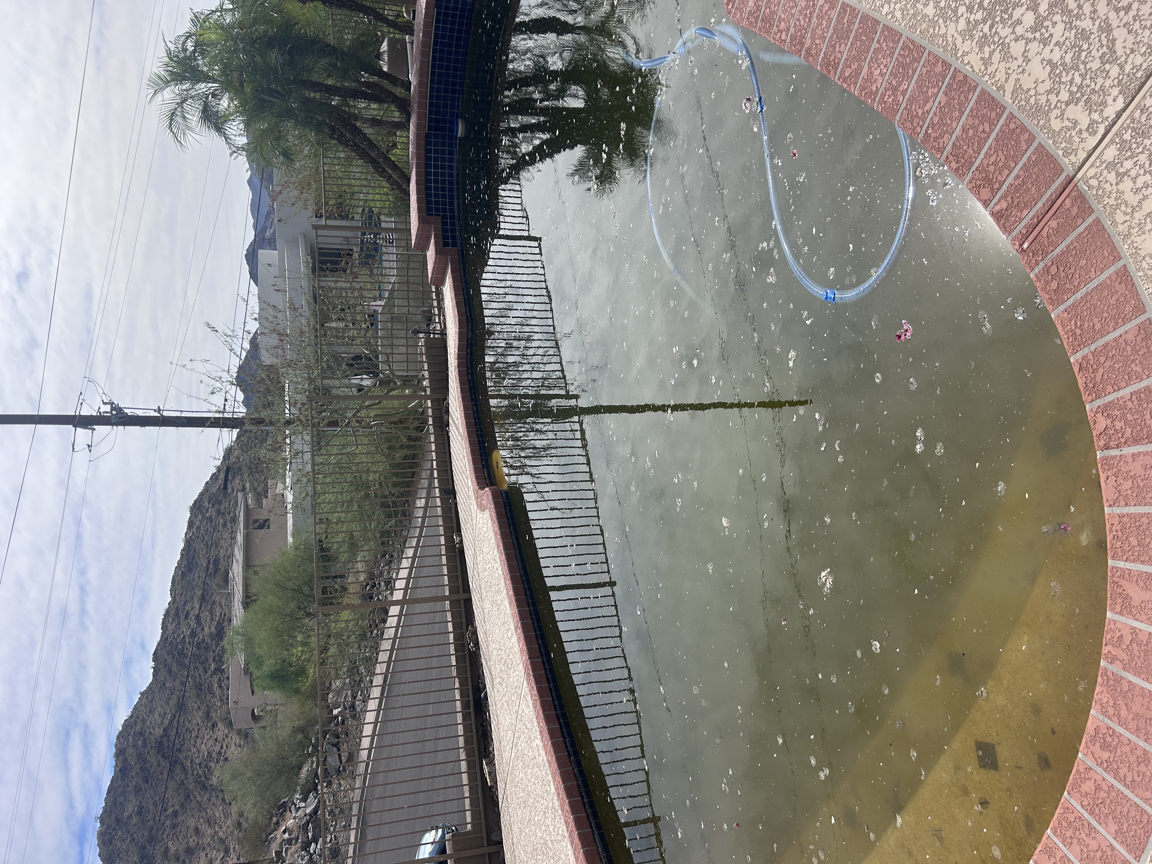 Green pool cleanup — before